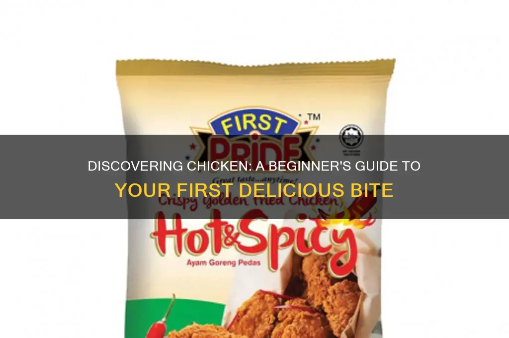 what way to try chicken for first time