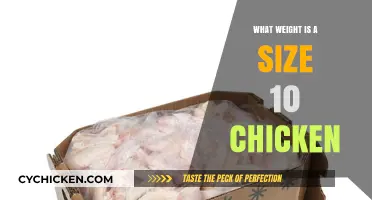 Understanding Chicken Sizes: What Weight Defines a Size 10 Bird?
