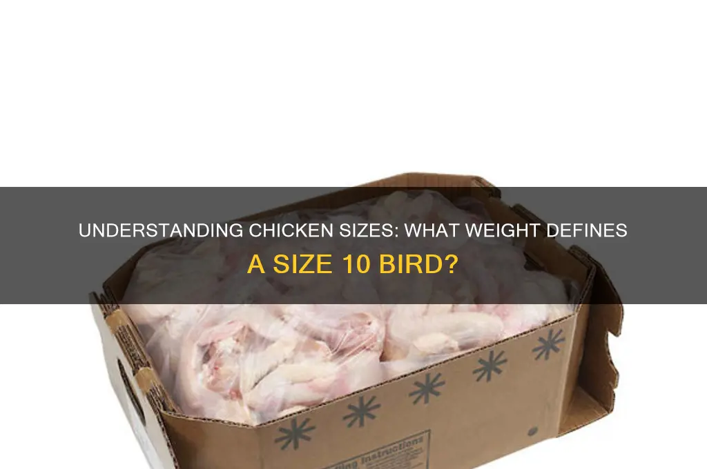 what weight is a size 10 chicken