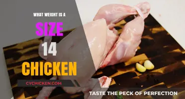 Understanding Chicken Sizes: What Weight Does a Size 14 Represent?