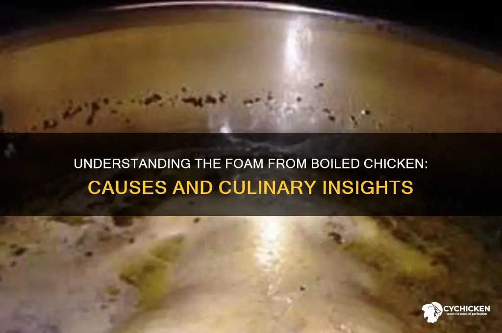 what what is the foam from boiled chicken