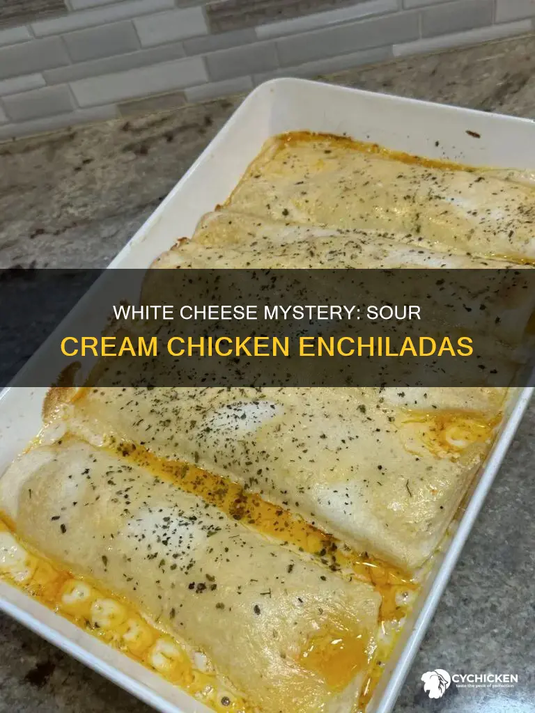 what white cheese is on sour cream chicken enchiladas