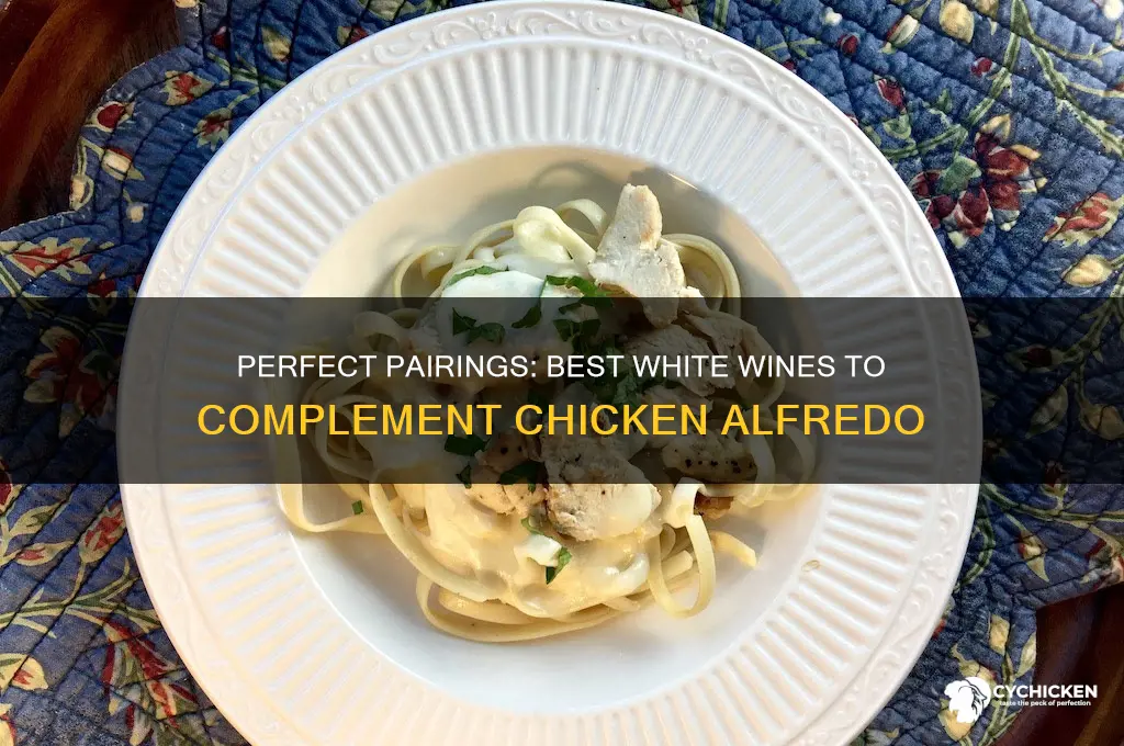what white wine goes with chicken alfredo