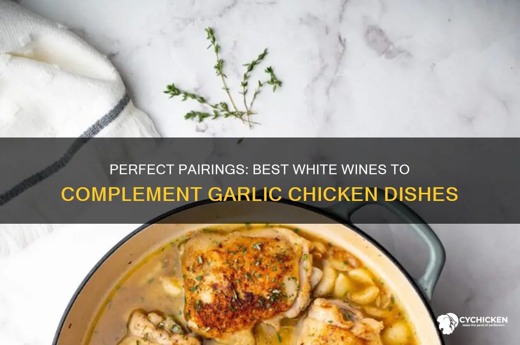 what white wine goes with garlic chicken