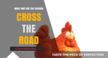 Why Did the Chicken Cross the Road? Unraveling the Classic Riddle