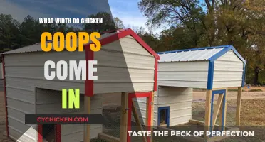 Exploring the Ideal Width for Comfortable Chicken Coops