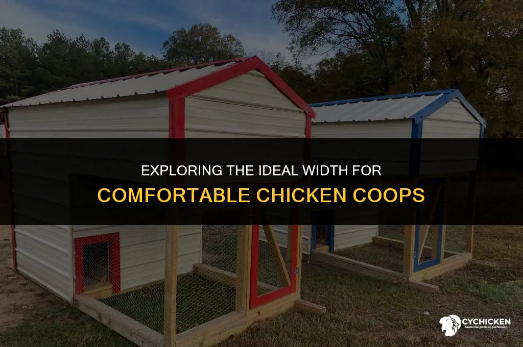 what width do chicken coops come in