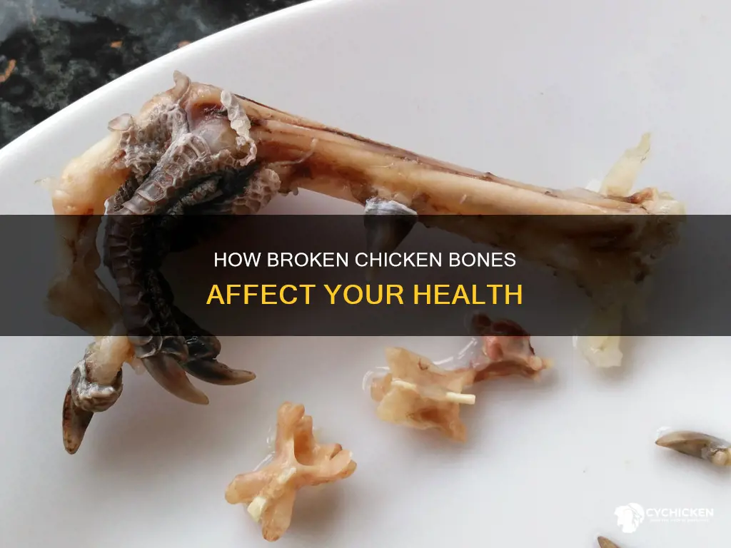 what will a broken chicken bone do to you