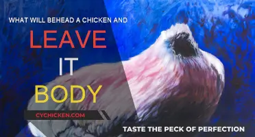 Why Do Some Predators Decapitate Chickens?