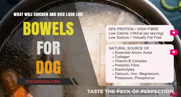 Chicken and Rice in Your Dog's Bowel Movements: What to Expect