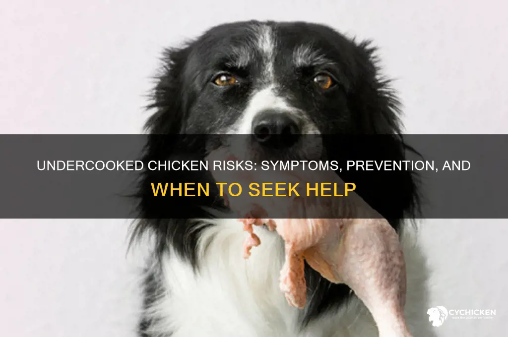 what will happen if i ate undercooked chicken