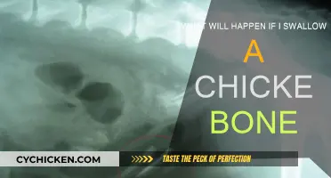 Swallowed Chicken Bone: What Are the Risks?