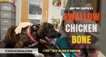 Swallowed a Chicken Bone? Here’s What to Expect and Do Next