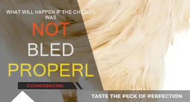 Improper Bleeding: Chicken Health Risks and Food Safety