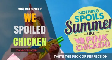 Spoiled Chicken Risks: Health Hazards and Safe Handling Tips