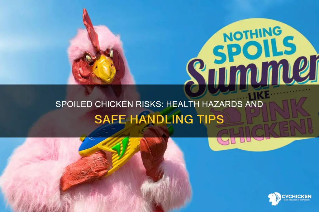 what will happen if we spoiled chicken