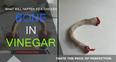 How Vinegar Dissolves Chicken Bones
