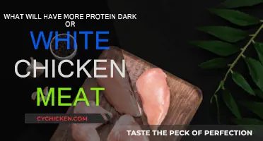 Chicken Protein: Dark or White Meat?