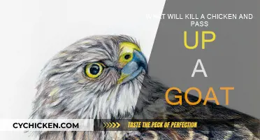 Goats and Chickens: What's the Deadly Difference?