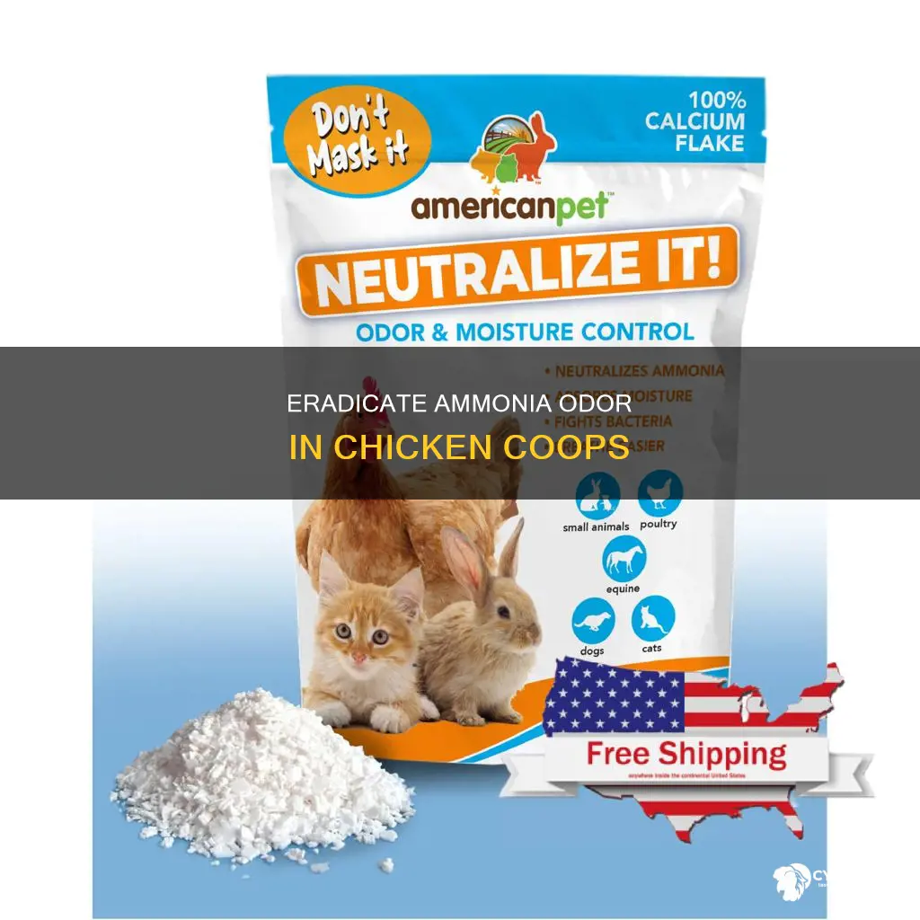 what will neutralize ammonia smell in my chicken house