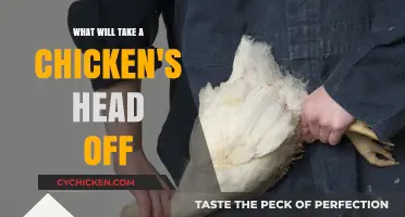 What Could Decapitate a Chicken? Surprising Causes and Dangers
