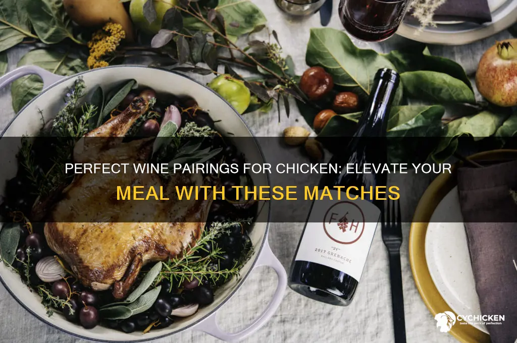 what wine do you pair with chicken