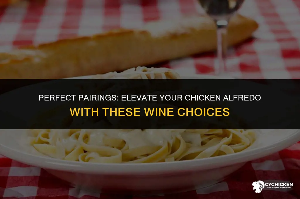 what wine do you serve with chicken alfredo