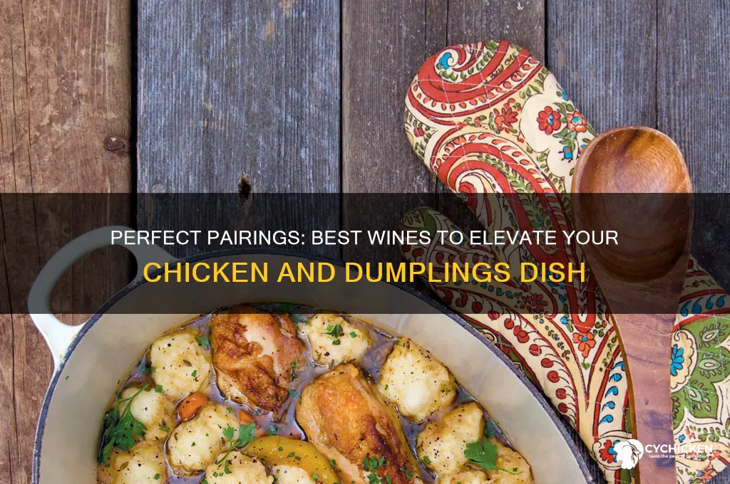 what wine goes best with chicken and dumplings