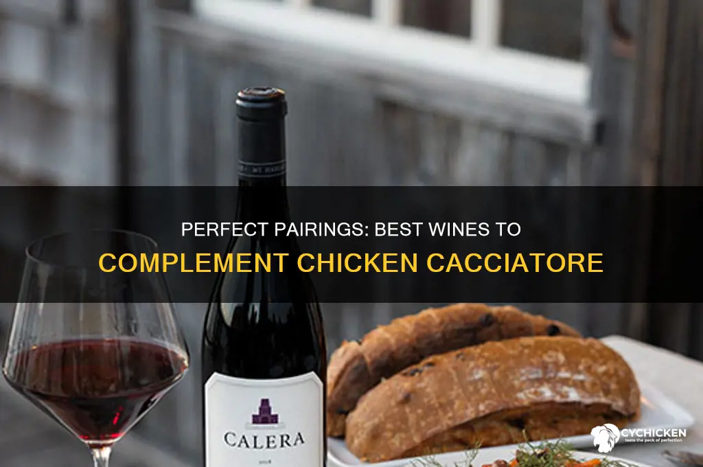 what wine goes best with chicken cacciatore