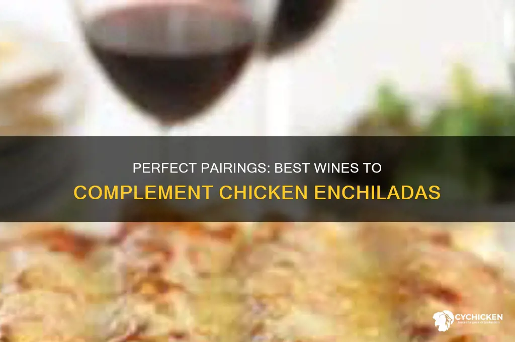 what wine goes best with chicken enchiladas