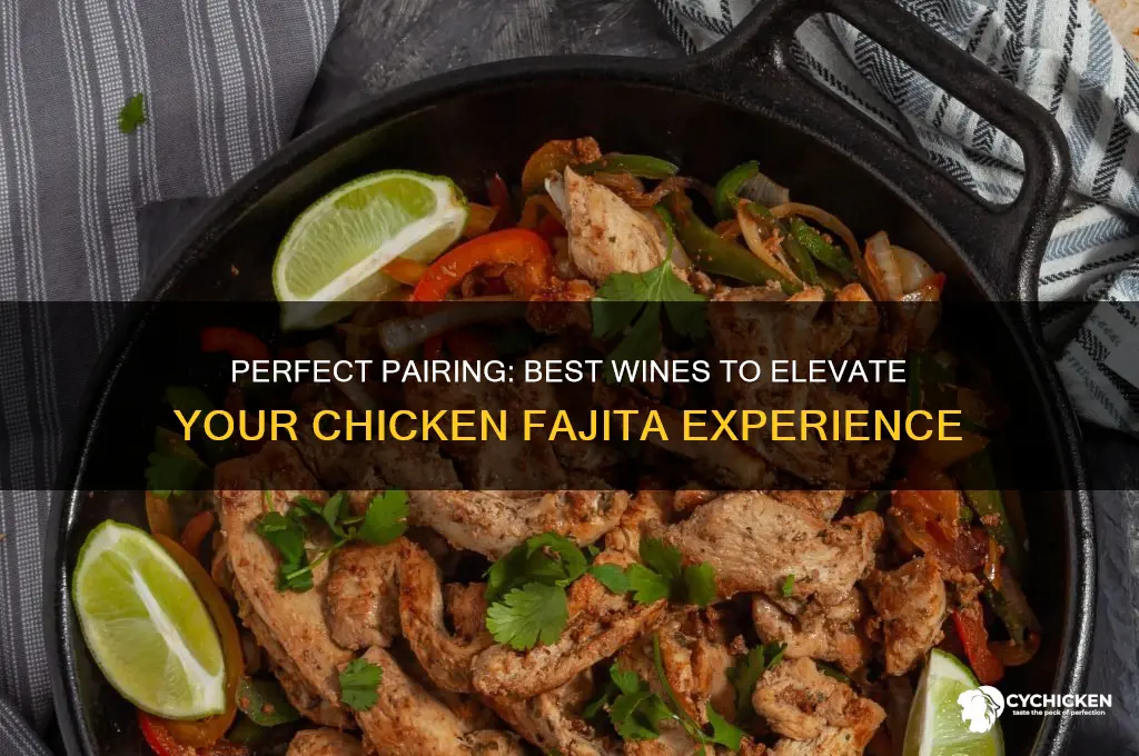 what wine goes best with chicken fajitas