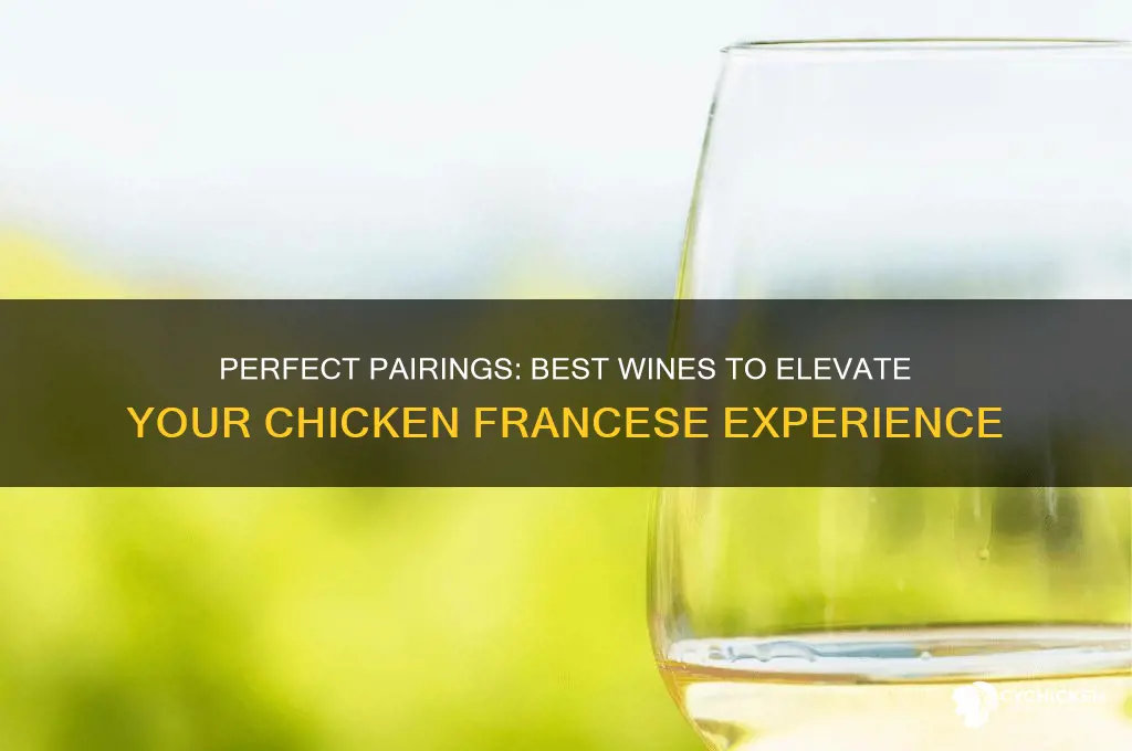 what wine goes best with chicken francese
