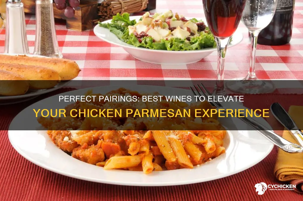 what wine goes best with chicken parm