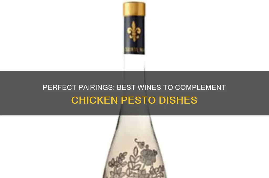 what wine goes best with chicken pesto
