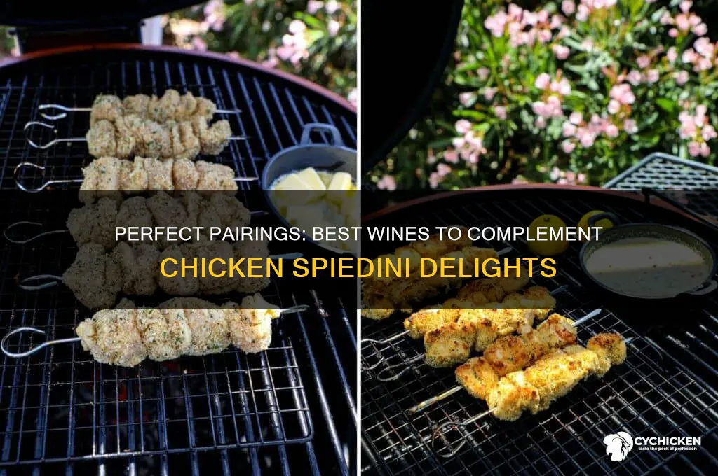 what wine goes best with chicken spiedini
