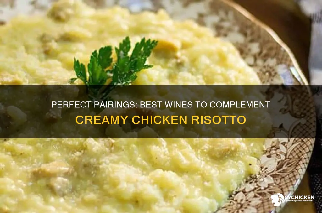 what wine goes well with chicken rissoto
