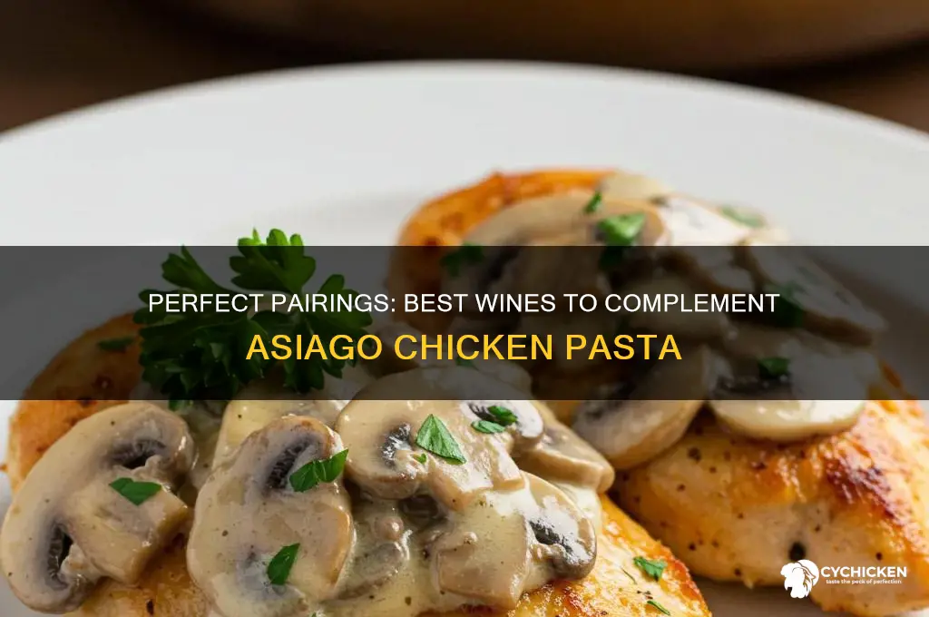 what wine goes with asiago chicken pasta
