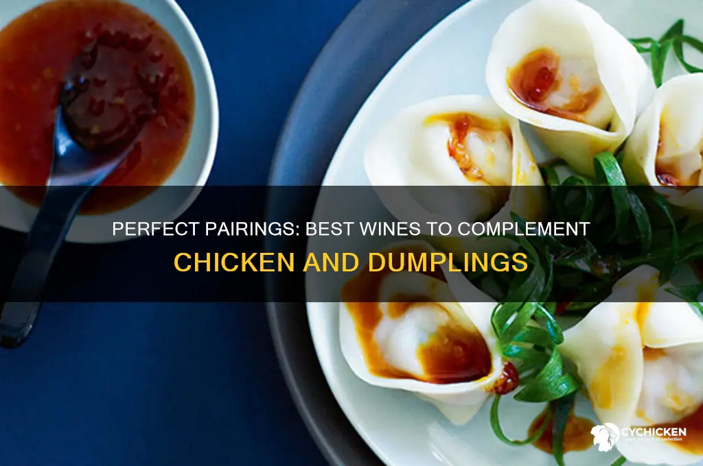what wine goes with chicken and dumplings