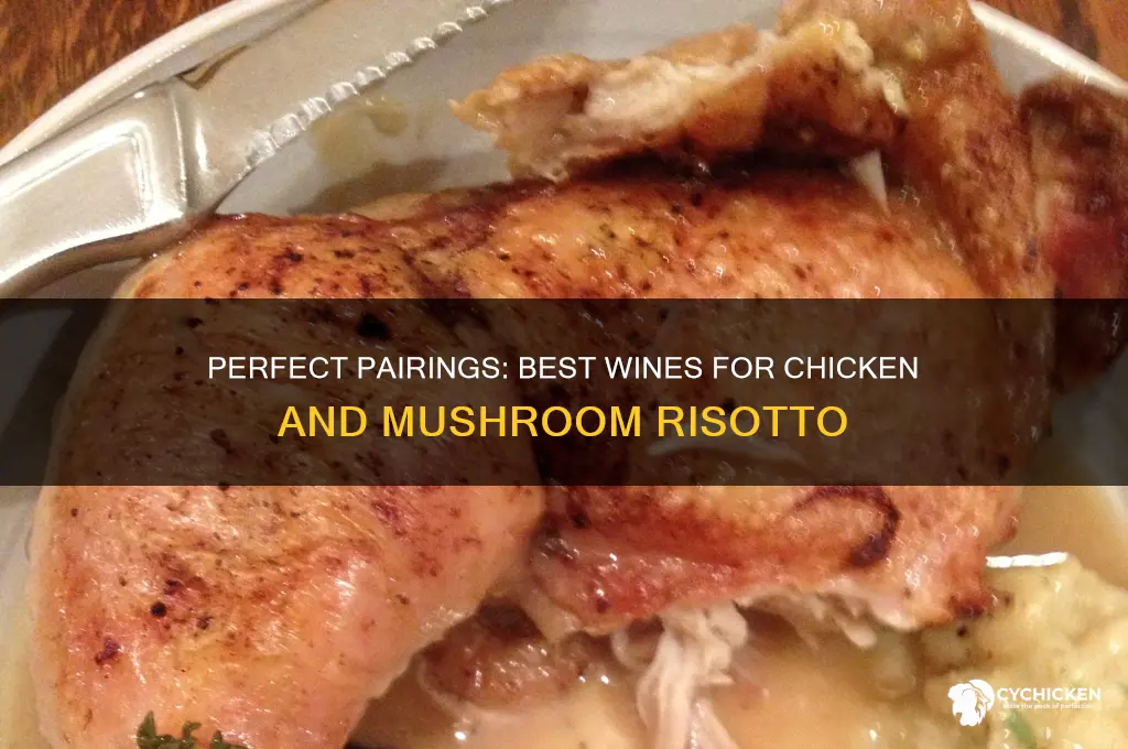 what wine goes with chicken and mushroom risotto