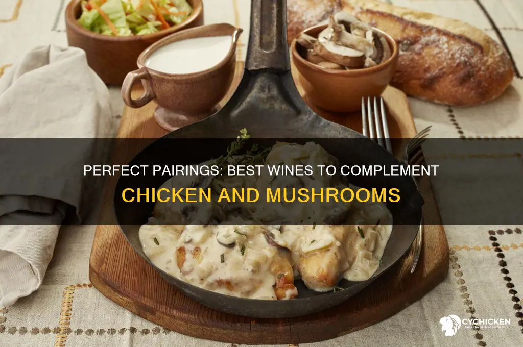 what wine goes with chicken and mushrooms