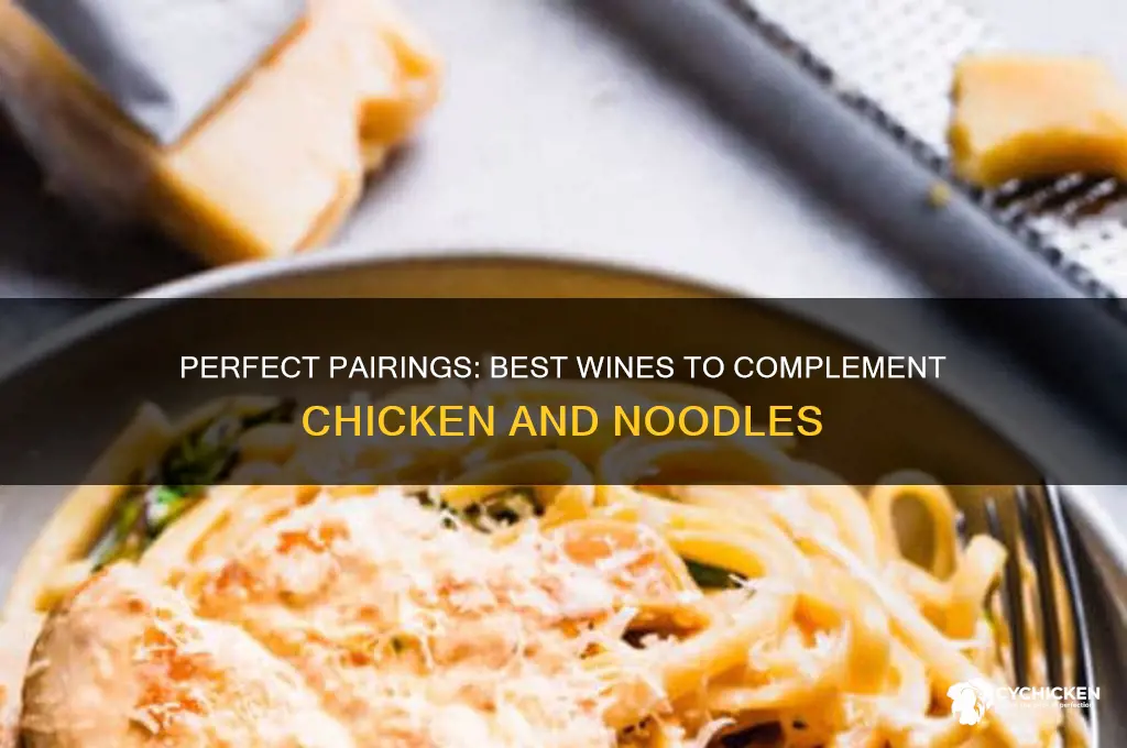 what wine goes with chicken and noodles