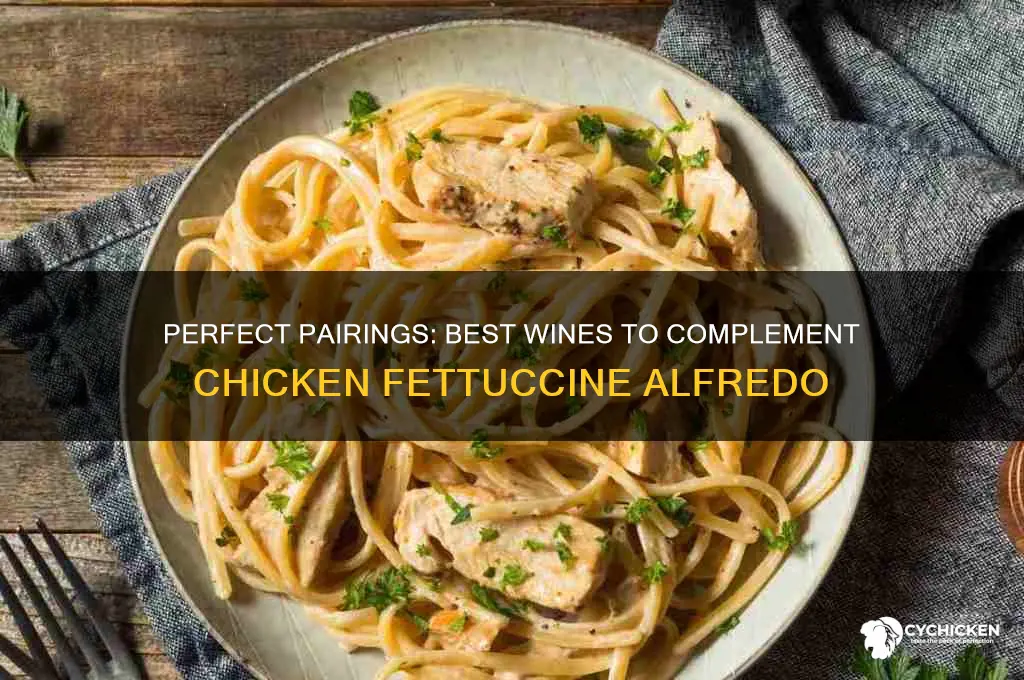 what wine goes with chicken fettuccine alfredo