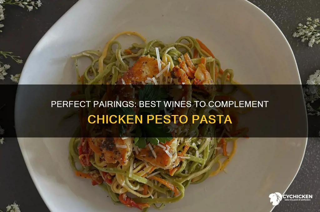 what wine goes with chicken pesto pasta