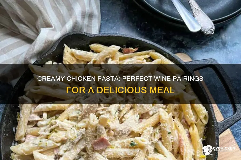 what wine goes with creamy chicken pasta