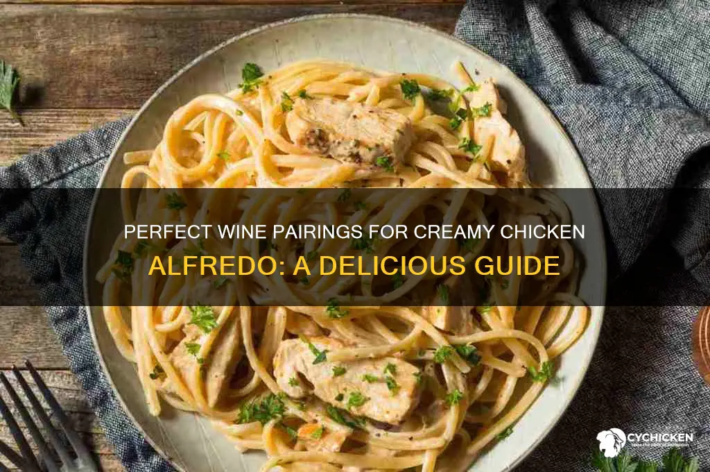 what wine pairs well with chicken alfredo