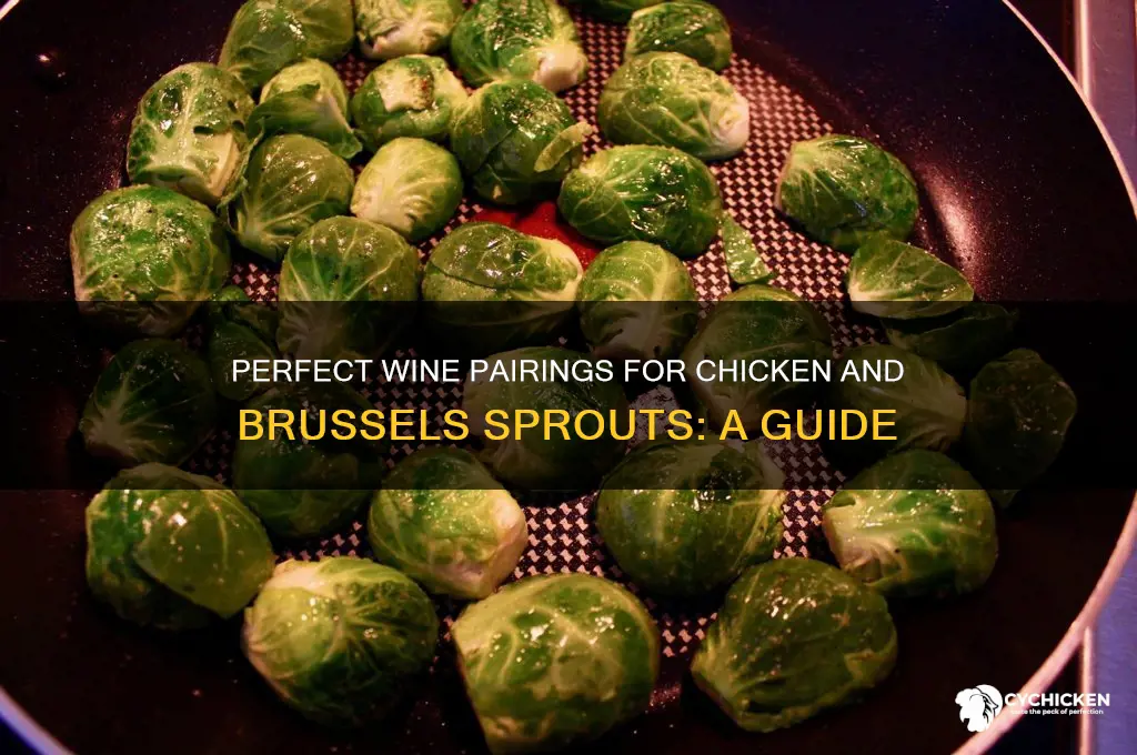 what wine pairs with chicken and brussels sprouts