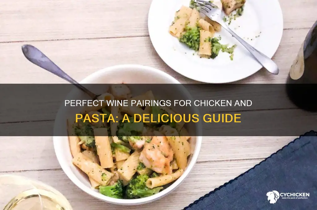 what wine pairs with chicken and pasta