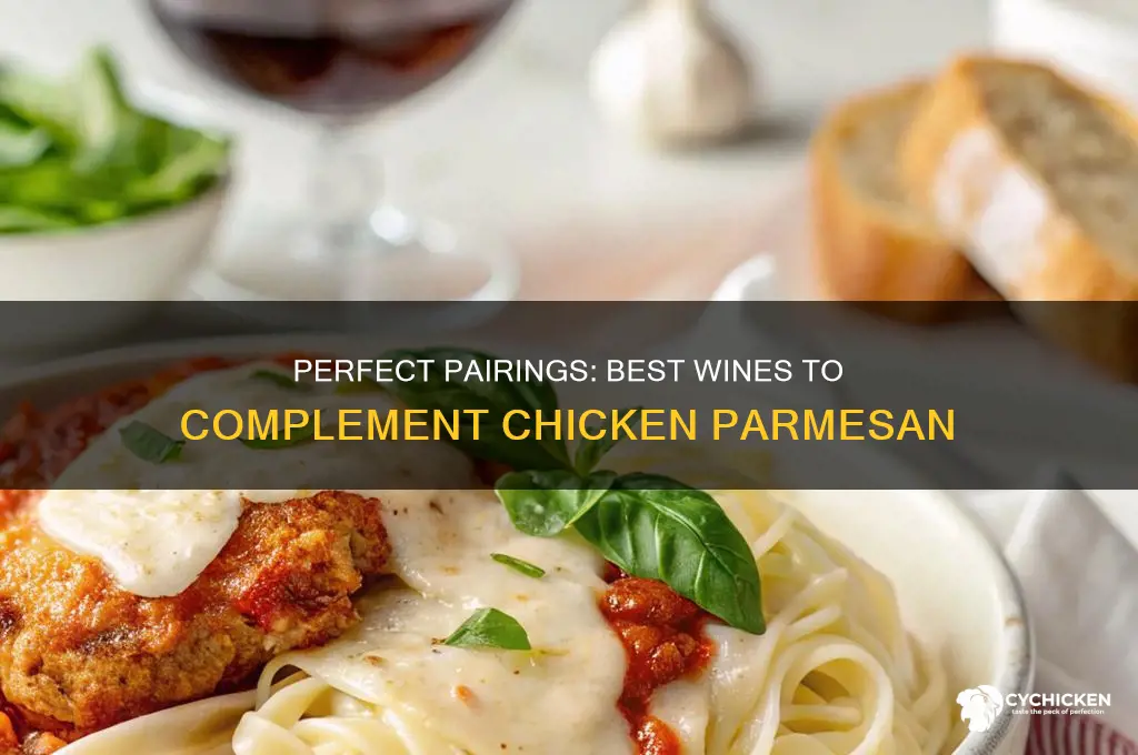 what wine to drink with chicken parmesan