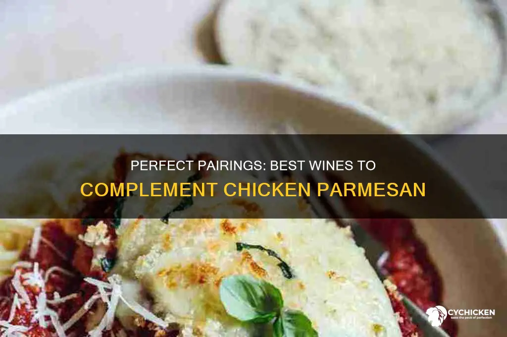 what wine to order with chicken parmesan