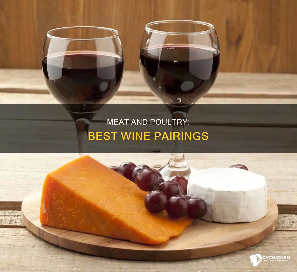 what wine to pair with both filet mignon and chicken
